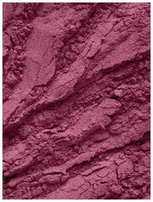 Açaï Bio en Poudre poudre d'açaï bio riche en antioxydants et énergie naturelle