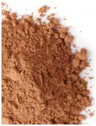 Cacao cru bio en poudre riche en antioxydants
