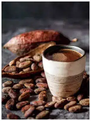 CACAO FEVES AMBIANCE En boisson ou a croquer Fèves de cacao Criollo bio