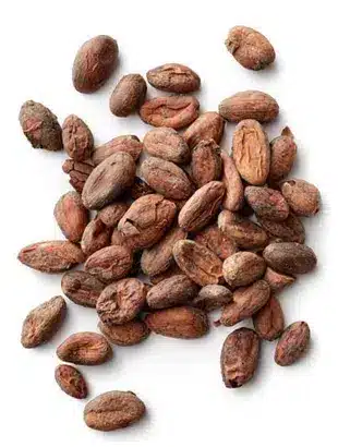 Fèves de Cacao Criollo Bio Fèves de cacao Criollo bio super-aliment riches en antioxydants