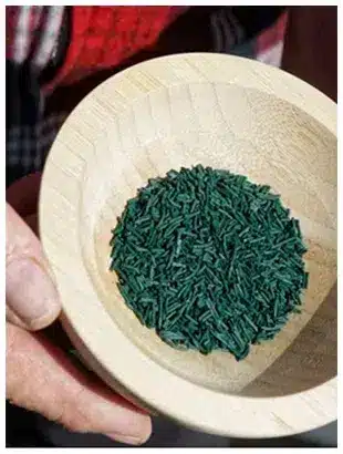 Spiruline - Brindilles Spiruline bio en brindilles croquante pour plats et smoothies