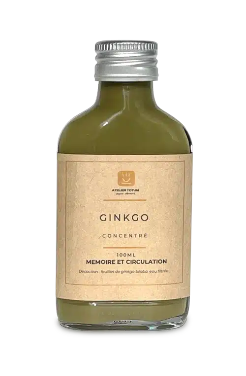 ginkgo-concentre-bio-atelier-totum Ginkgo Concentré Bio