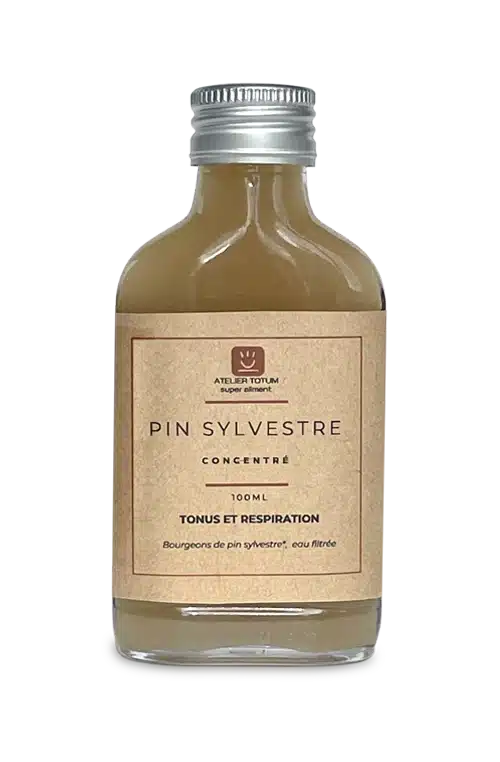 Pin Sylvestre Concentré Bio